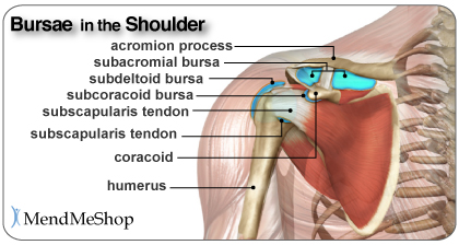 Shoulder Bursitis - Shoulder Pain differential Diagnosis